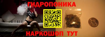 МДПВ Можайск