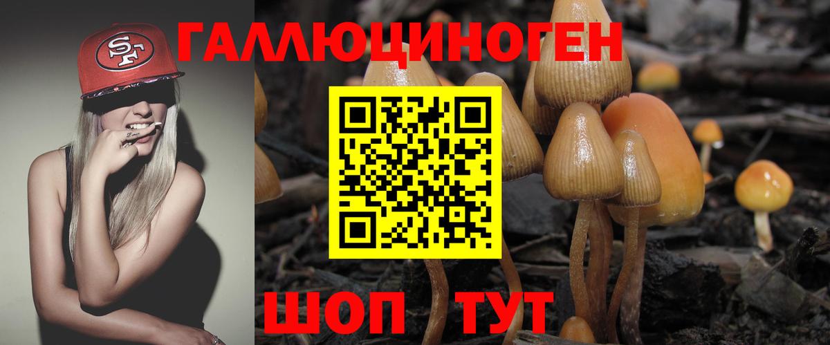 Галлюциногенные грибы прущие грибы  Псилоцибиновые грибы Cubensis  Ишим  Вход с VPN 